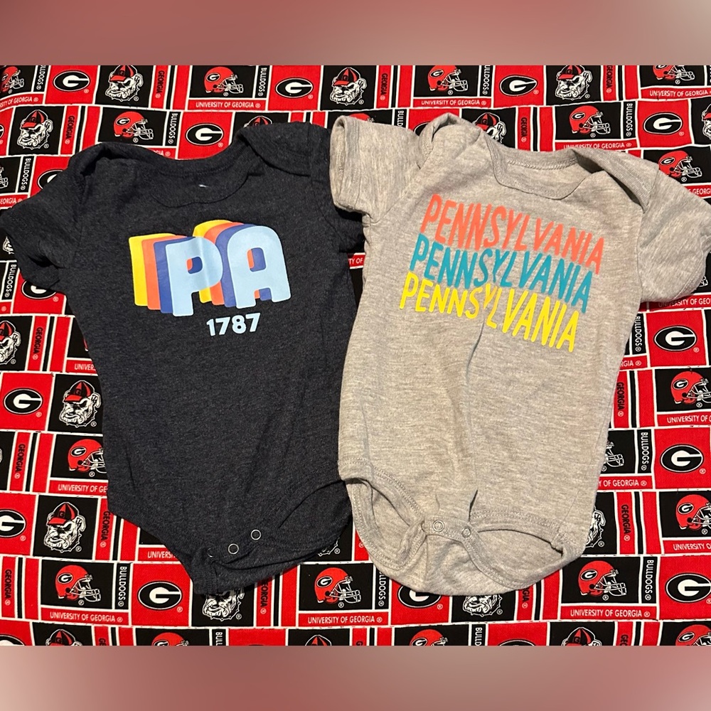 Pennsylvania Graphic Kids Bodysuit Set - Gray and Black